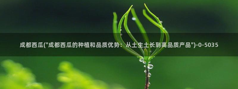 西瓜影院在线观看