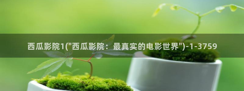 亲爱的妈妈西瓜影院