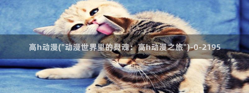 天马动漫
