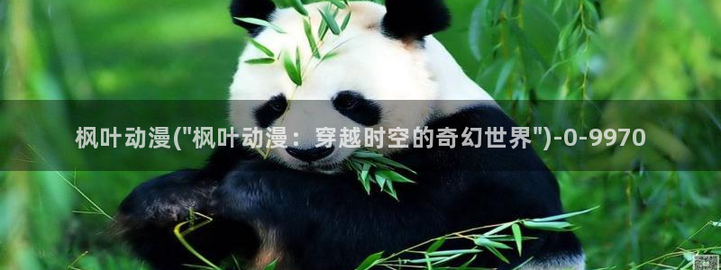 盗墓笔记动漫
