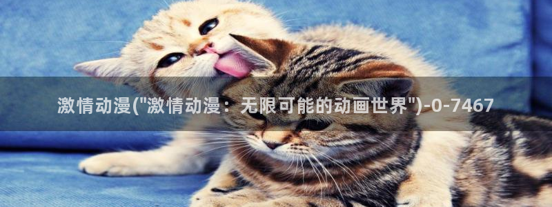 风车动漫网