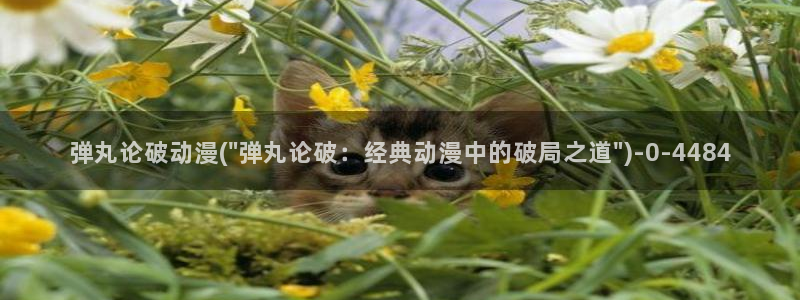 78动漫模型玩具网