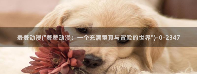 成人动漫网站